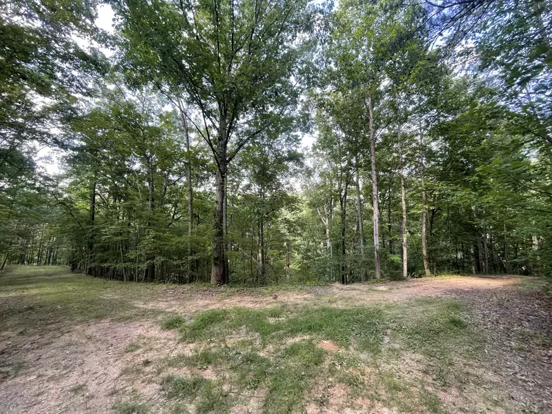 254 Oxford CIR NE, Ranger, GA 30734