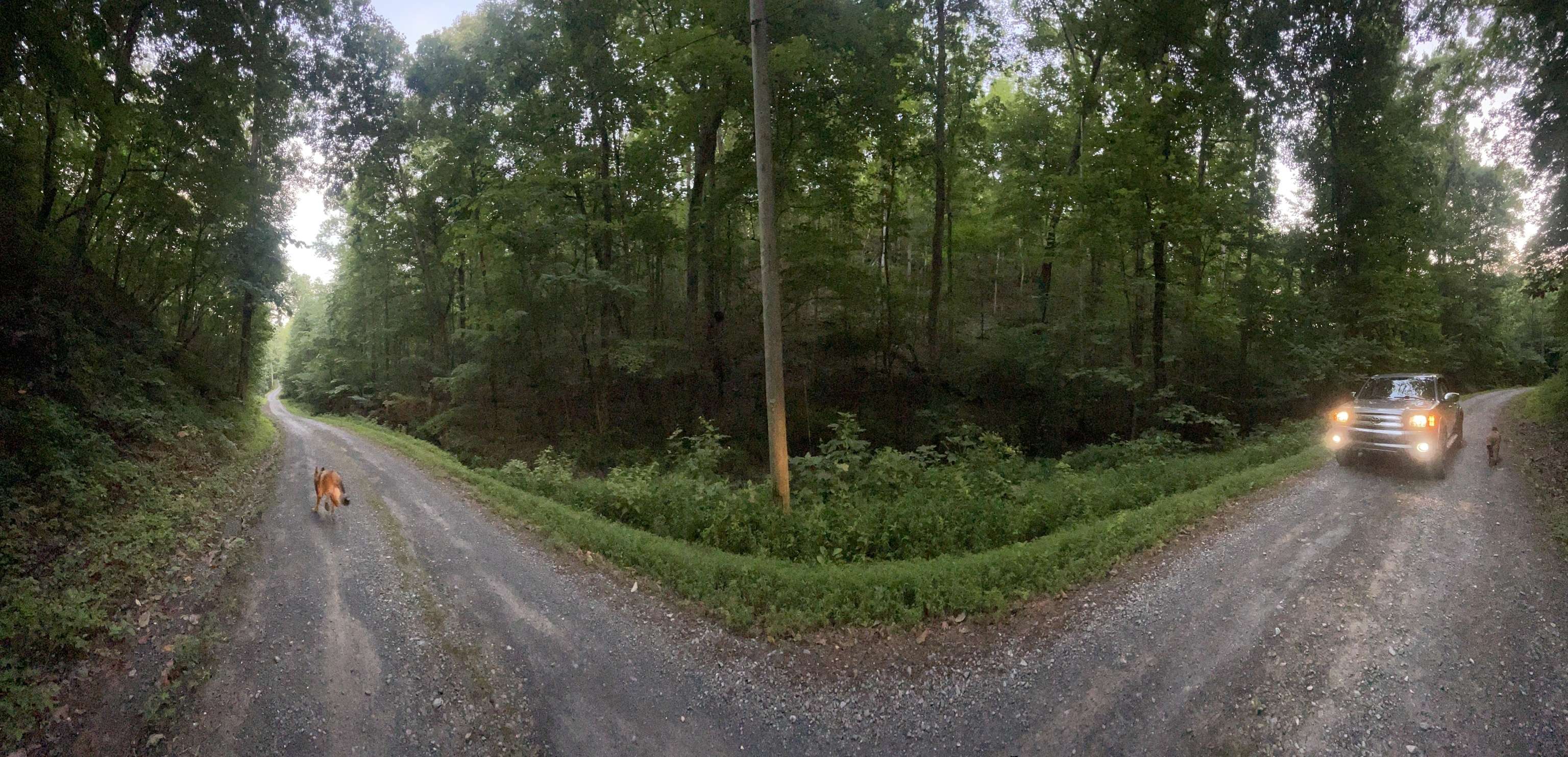 Ranger, GA 30734,682 Anderson LN NE