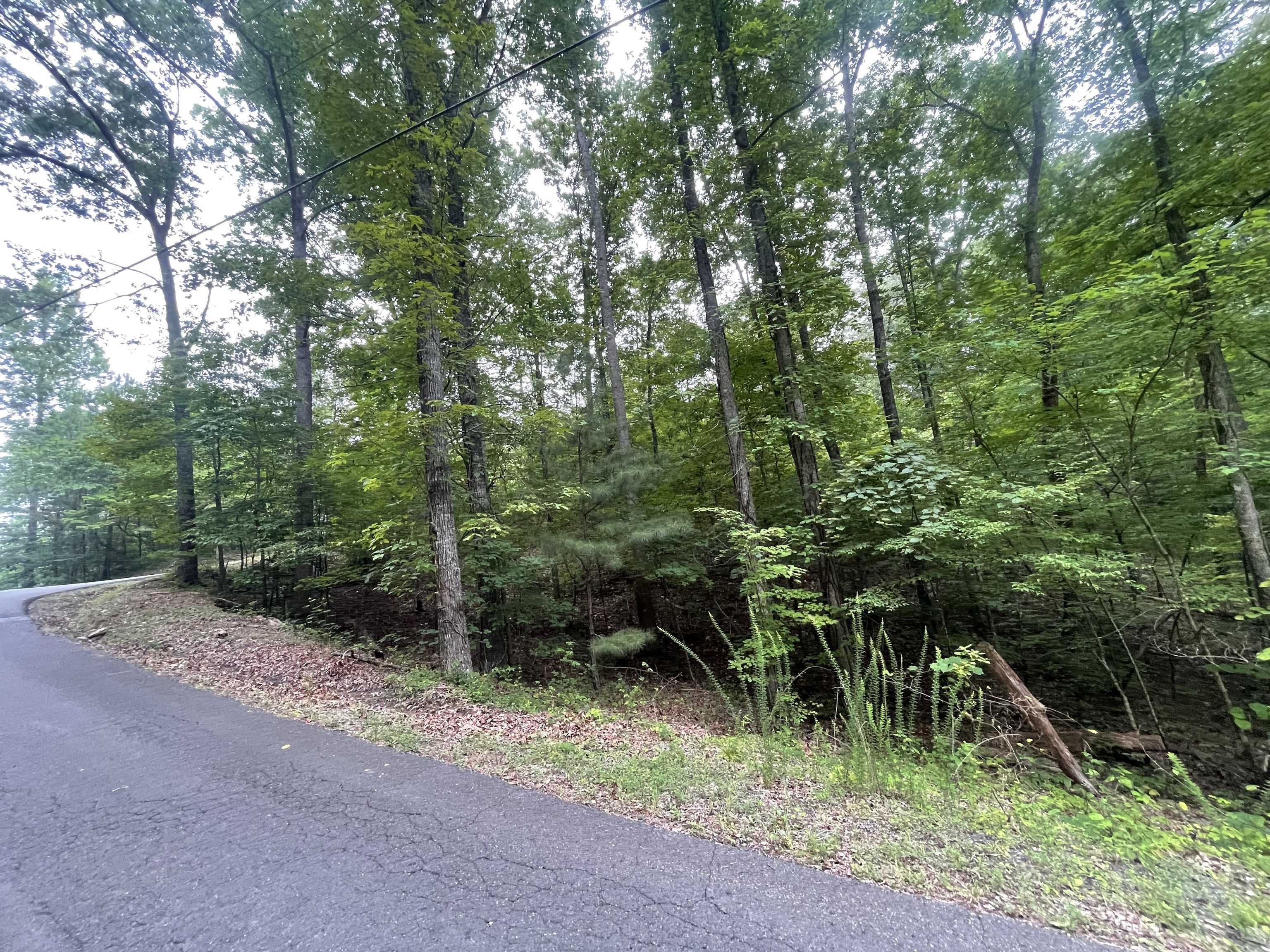 Ranger, GA 30734,838 Trinton DR