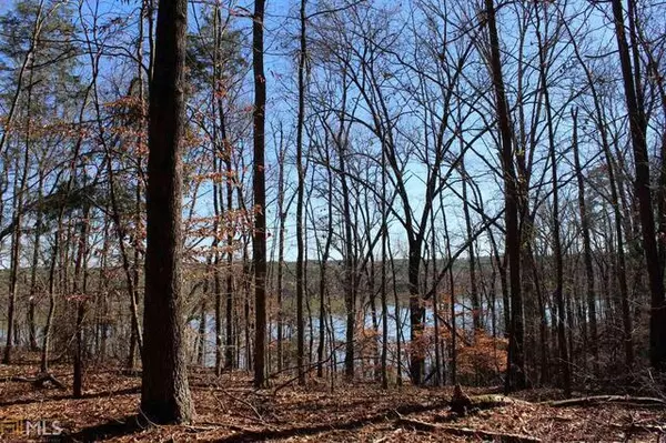 Elberton, GA 30635,LOT 17 Bluff Heights