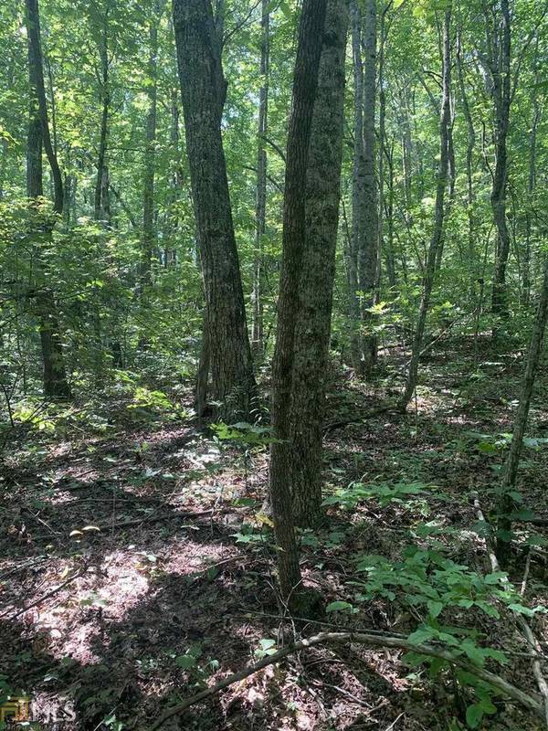 LOT 67 N N Woods PT #3, Sky Valley, GA 30537