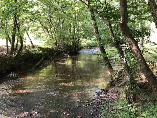 Blairsville, GA 30512,17 Maple LN