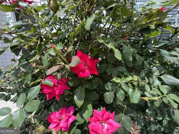 Lawrenceville, GA 30046,436 Spring Head DR