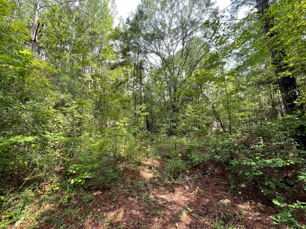 Pine Mountain, GA 31822,00 Chipley