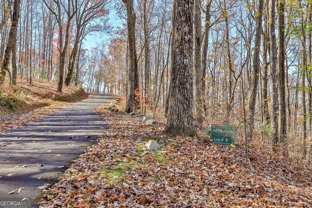 Ellijay, GA 30536,LOT 9 The Hemlocks