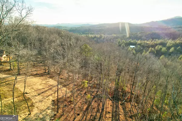 Mineral Bluff, GA 30559,LOT 1 Salem RDG