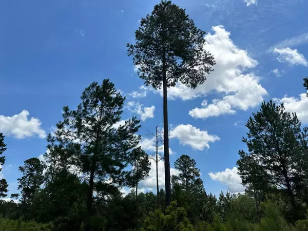 LOTS 36 AND 37 Landing TRL, Waynesville, GA 31566