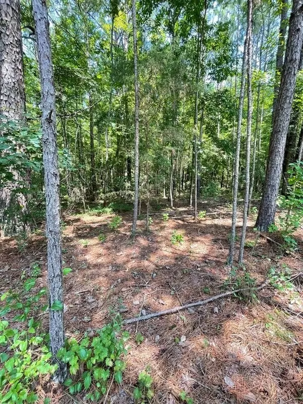 0 County Road 100, Lineville, AL 36266