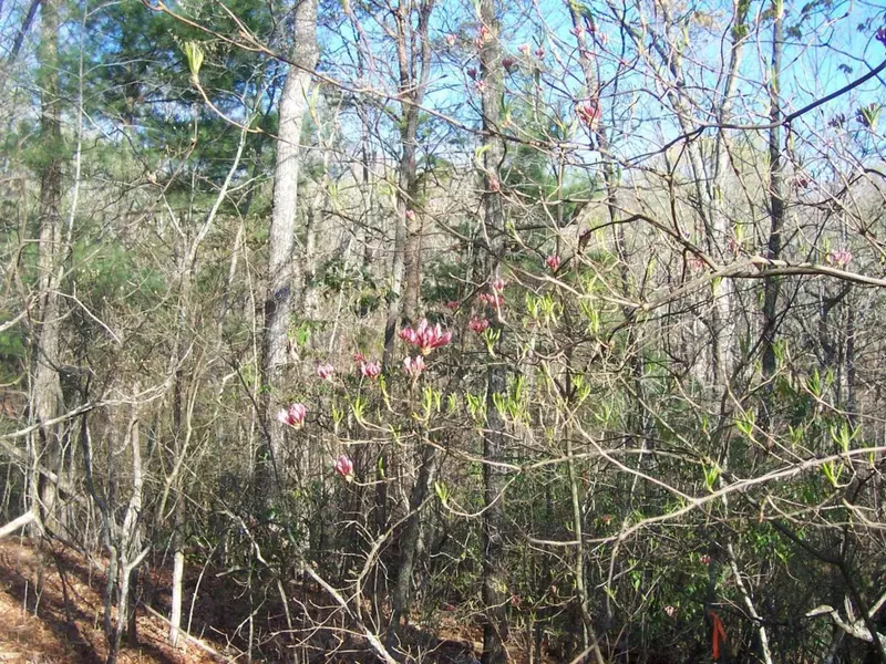 0 Braeburn LN, Dahlonega, GA 30533