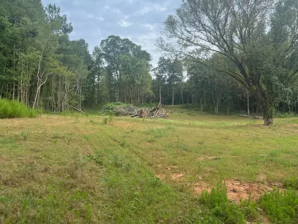 Covington, GA 30014,584 Benton RD