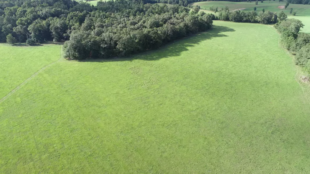 1301 Mt Zion RD, Buena Vista, GA 31803