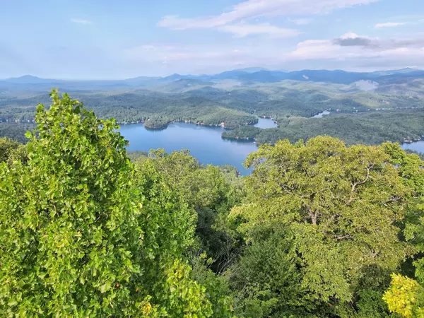 Tiger, GA 30576,0 Charmont DR #LOT 5