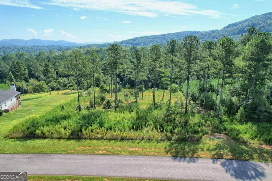 LT319 The Cove @ 1300, Blairsville, GA 30512