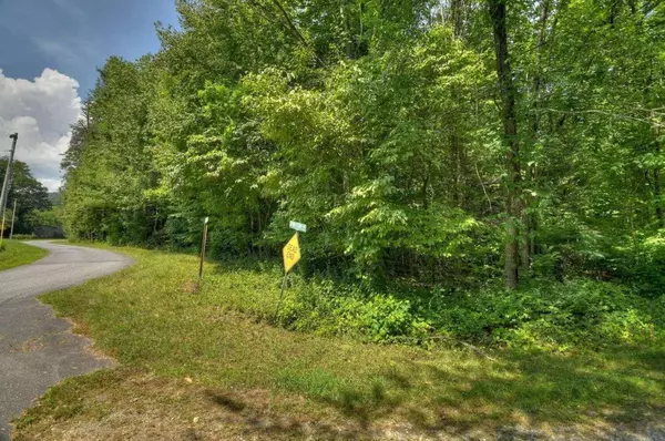 Blairsville, GA 30521,3 AC Spiva CV #3