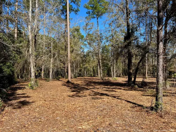 Brunswick, GA 31523,54 Salt Marsh