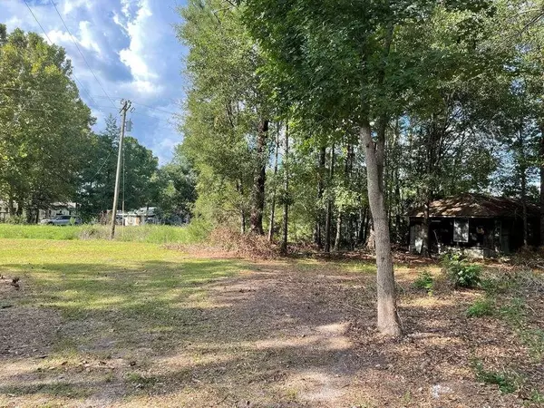 Ludowici, GA 31316,1.16 AC Alma Flournoy