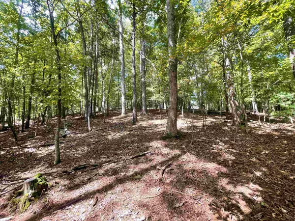 Ellijay, GA 30540,LOT 1272 Fleur