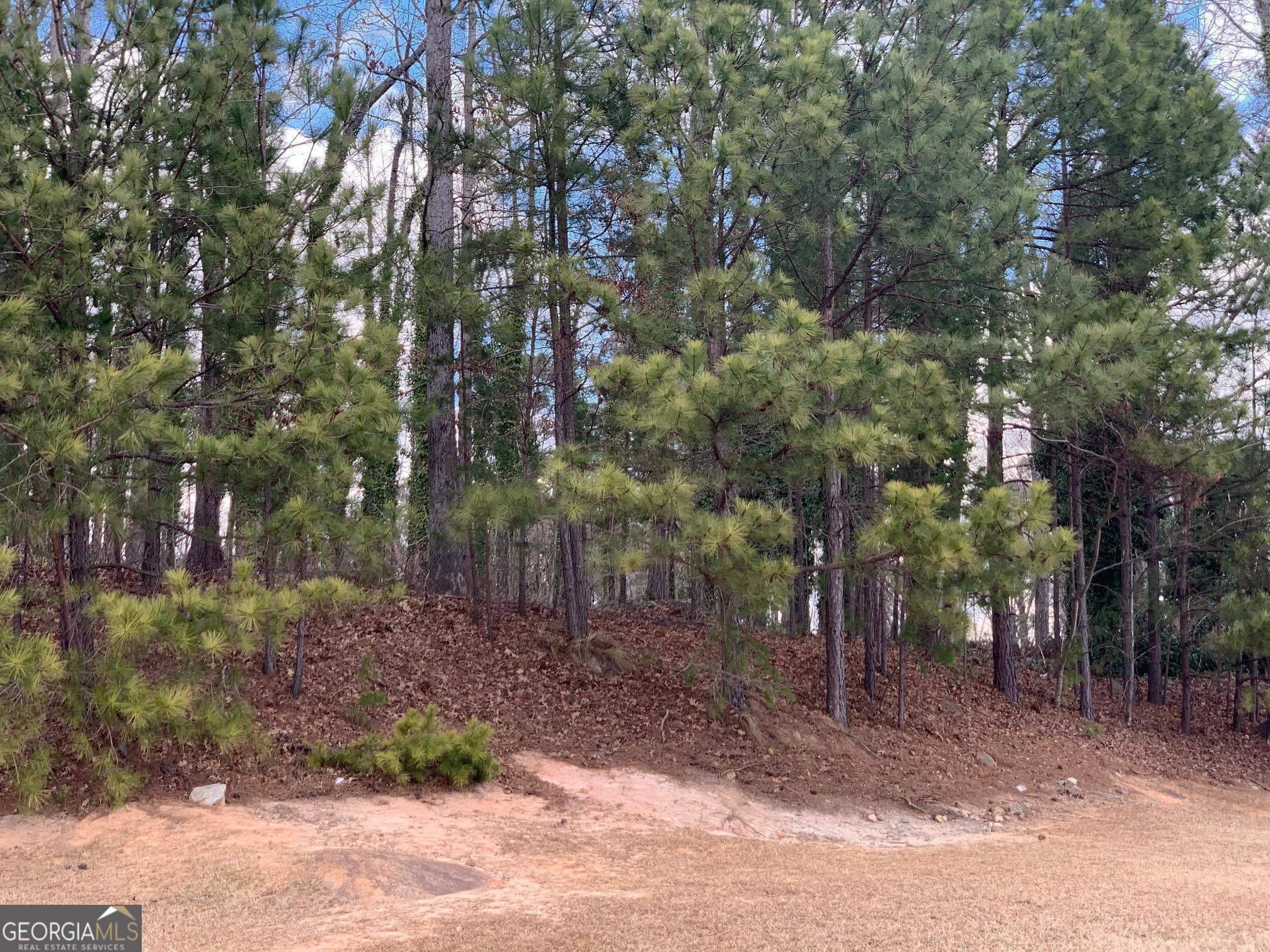 South Fulton, GA 30331,2459 Hughes CT #148