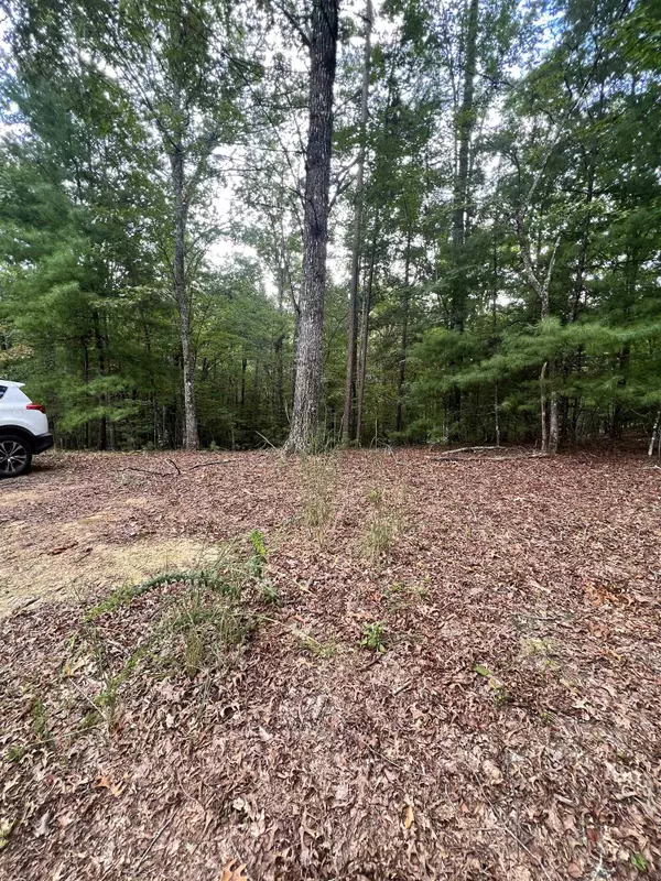 Murphy, NC 28906,14 LOTS Hedden PNES