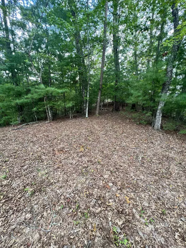 Murphy, NC 28906,14 LOTS Hedden PNES