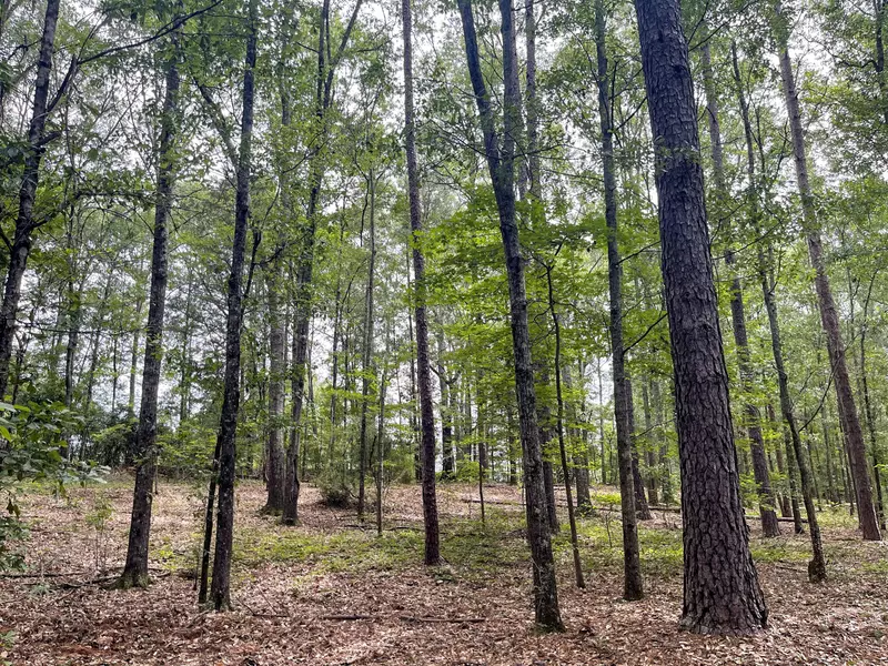 0 Terrell RD #6.62 ACRES, Greenville, GA 30222