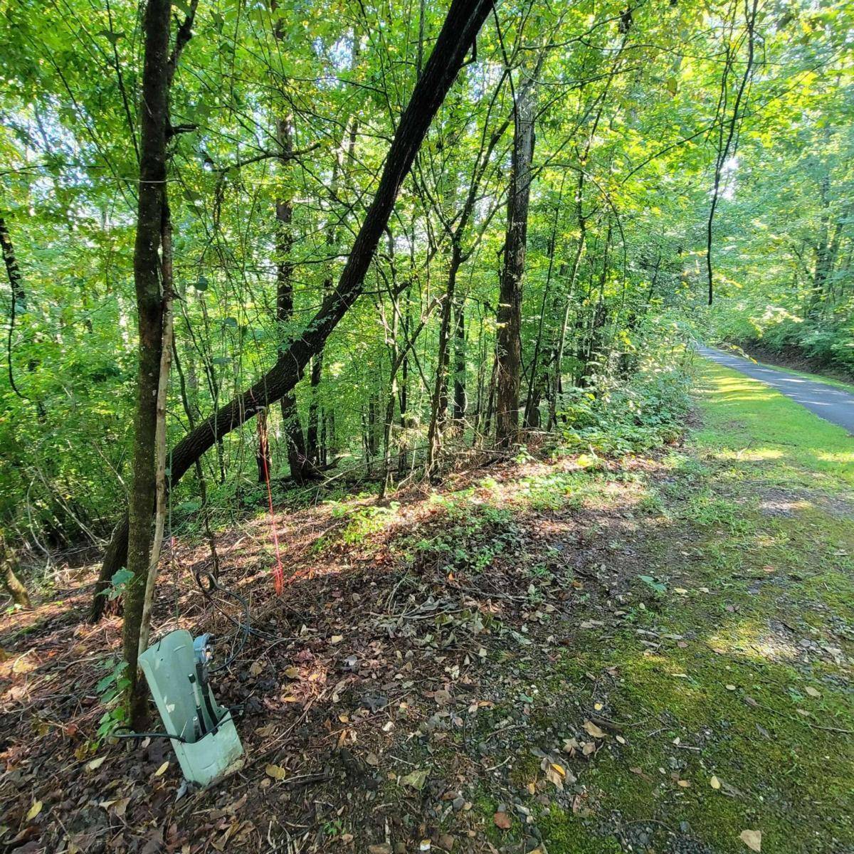 Hayesville, NC 28904,154-5 Dogwood CIR