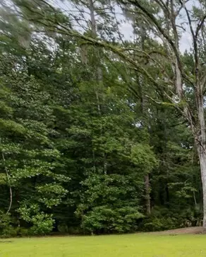 Hinesville, GA 31313,687 Saint Johns RD