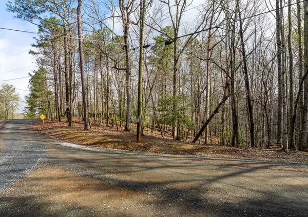 Ellijay, GA 30540,LOT 2826 Gunite