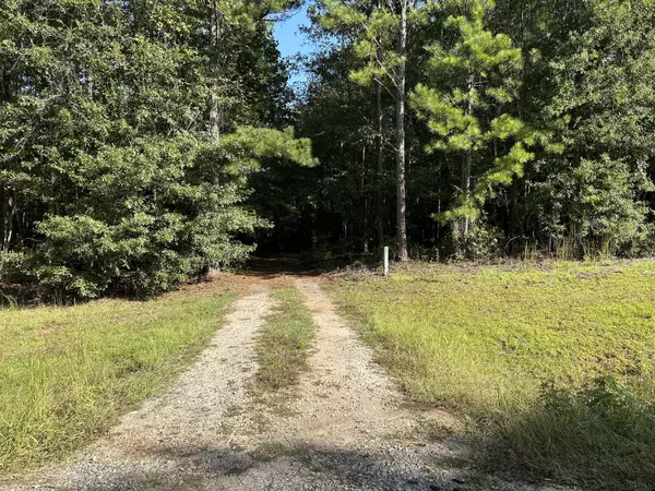 Woodbury, GA 30293,707 Pebblebrook RD #10.26 ACRES