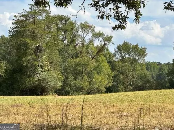 Loganville, GA 30052,1430 Lee Peters RD