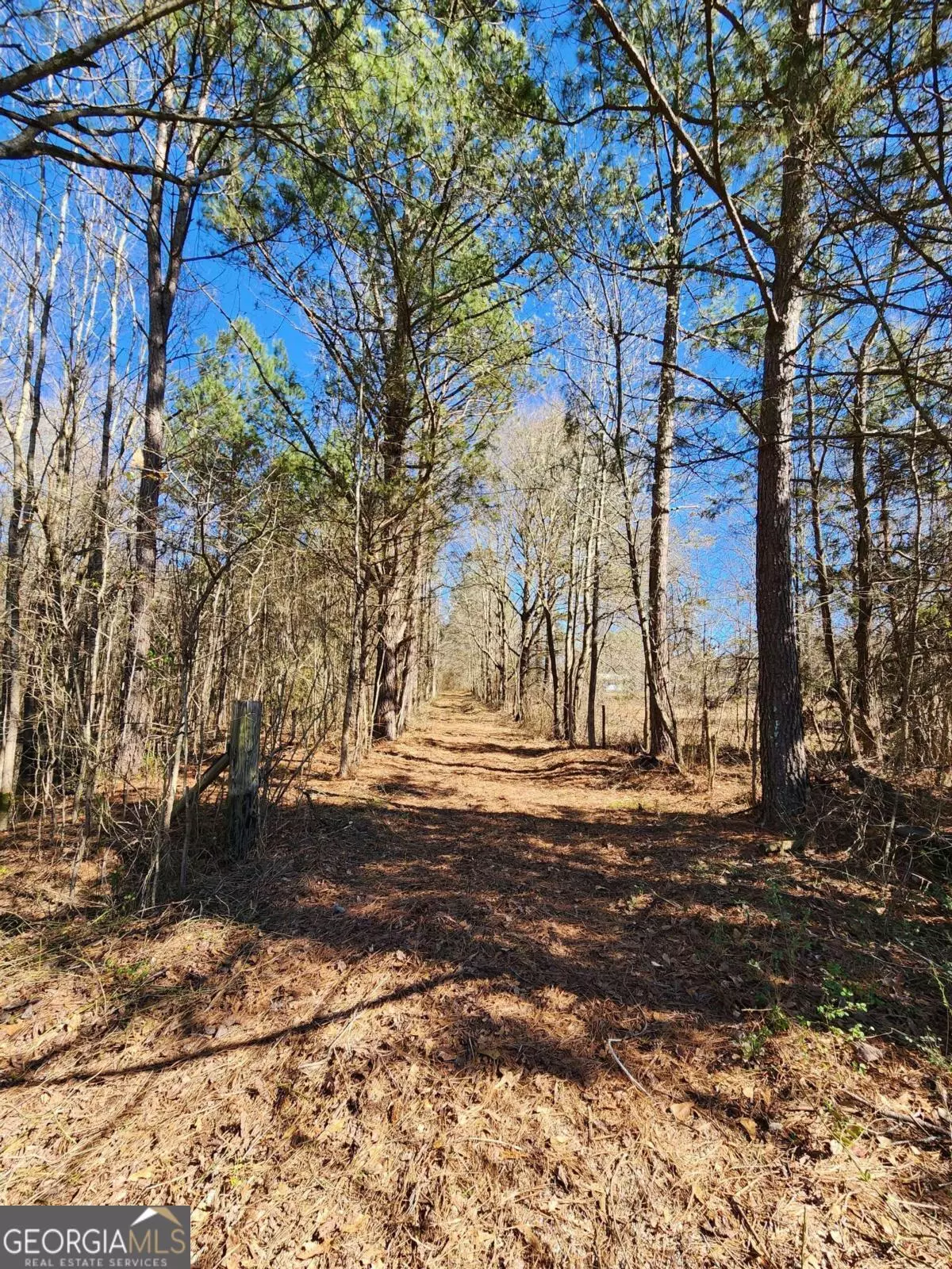 Zebulon, GA 30295,3353 Chapman RD