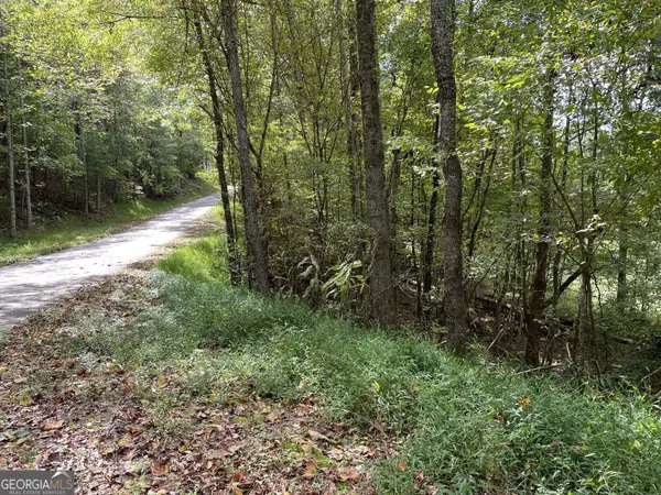 Blairsville, GA 30512,LOTS 4&5 Johnston Lane