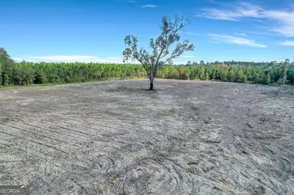 Baxley, GA 31513,0 Tract 1 - Old Field Cemetery Rd.