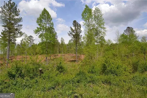 Fairmount, GA 30139,0 Loblolly