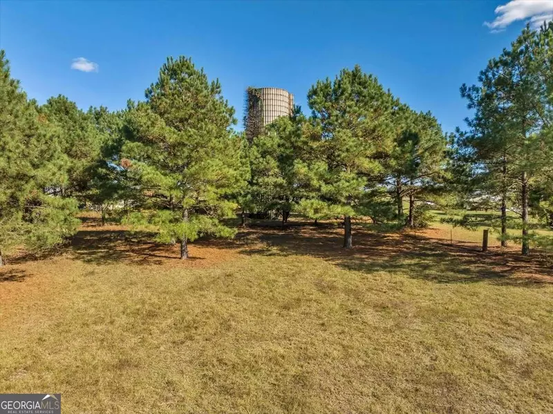 0 Drayton RD, Montezuma, GA 31063