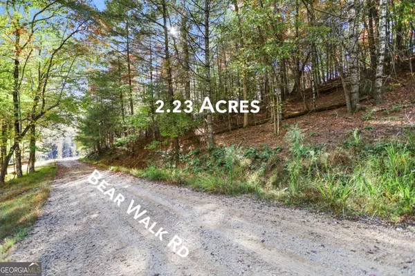 Mineral Bluff, GA 30559,2.23 Bear Walk