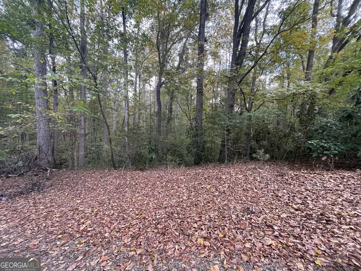 Lavonia, GA 30553,LOT J-013 Valley View DR