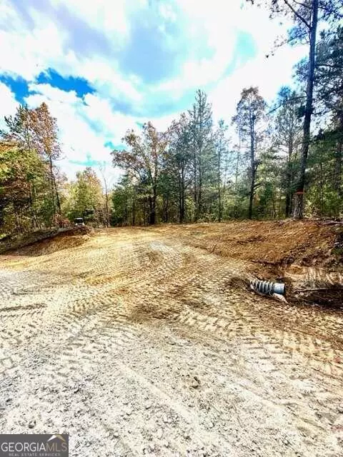 Carlton, GA 30627,390 New Hope Vesta RD