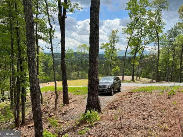 Mineral Bluff, GA 30559,LOT 7 Mountain Laurel