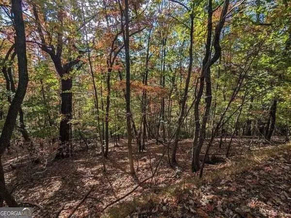 Jasper, GA 30143,32 Wild Turkey Bluff