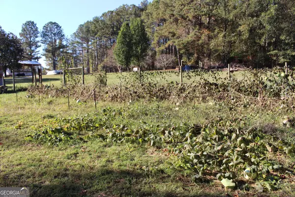 Molena, GA 30258,1282 Mountain View RD