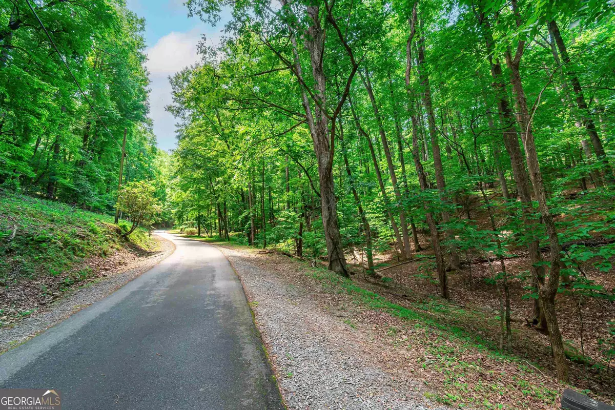 Ellijay, GA 30536,0.49AC Sleepy Hollow