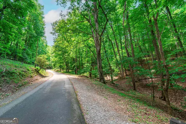 0.49AC Sleepy Hollow, Ellijay, GA 30536