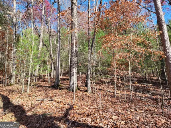 Suches, GA 30572,1 A. Buck Ridge RD