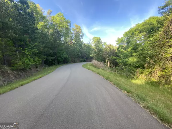 Morganton, GA 30560,LOT 47 Ralston Gap
