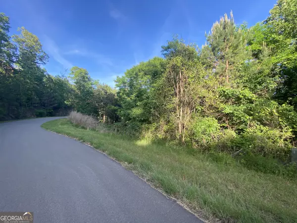 Morganton, GA 30560,LOT 47 Ralston Gap