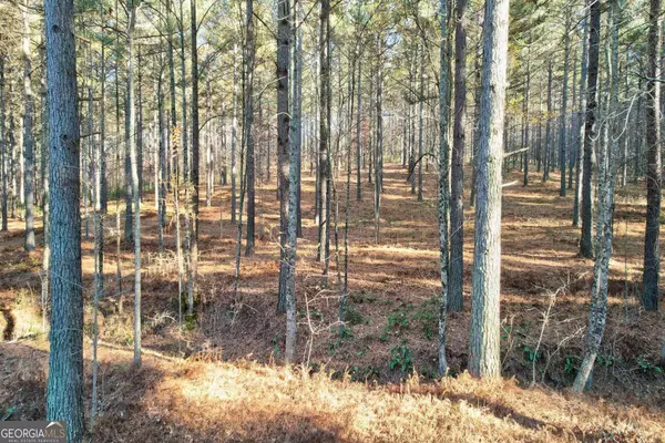 Blairsville, GA 30512,LOT 48 Thirteen Hundred