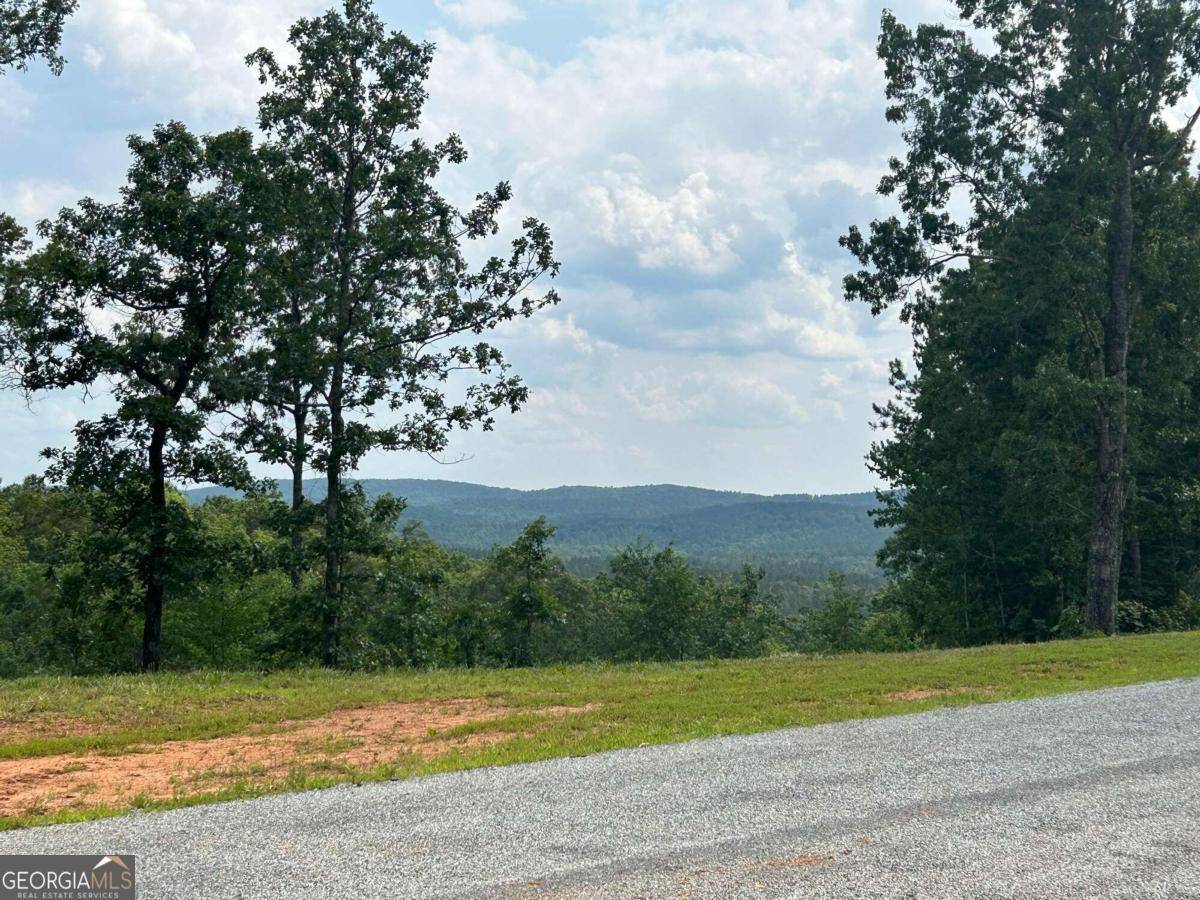 Ellijay, GA 30540,37 Blalock Mountain RD