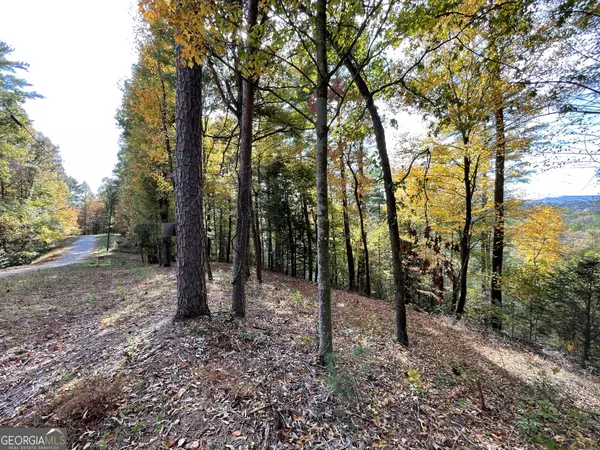 Ellijay, GA 30540,LOT 3791 Indian