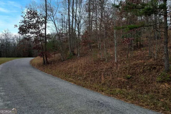 Blairsville, GA 30512,LOT 32 Ivy Log EST